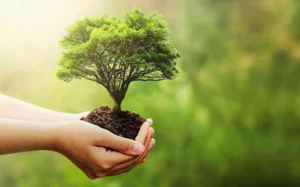 what happens when you disconnect from nature in kannada